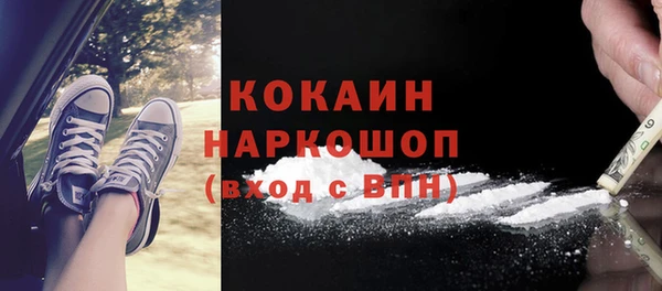 стаф Алексин