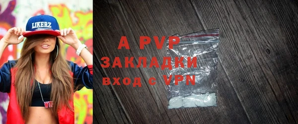 стаф Алексин
