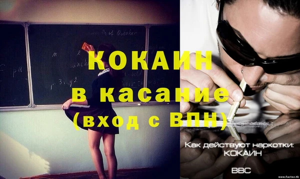 стаф Алексин