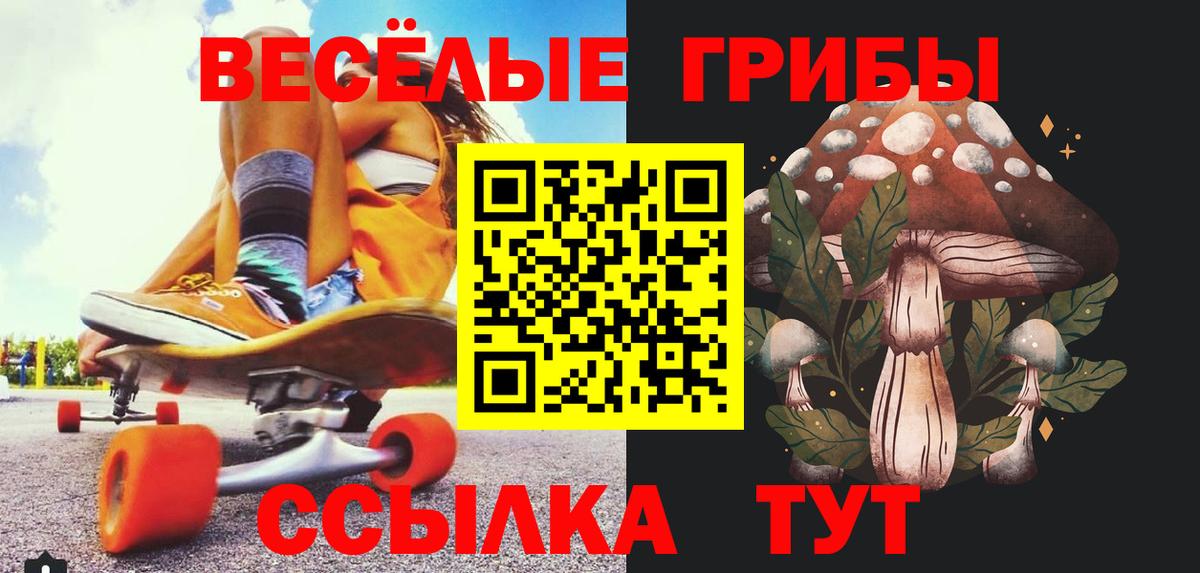 Псилоцибиновые грибы Magic Shrooms  Вход с VPN  купить закладку  Елизово 